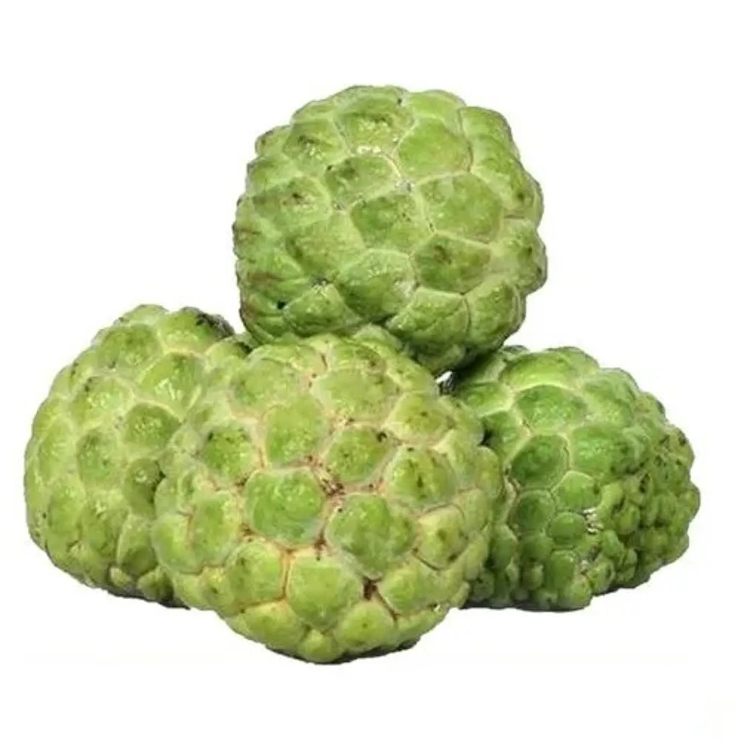 Custard Apple