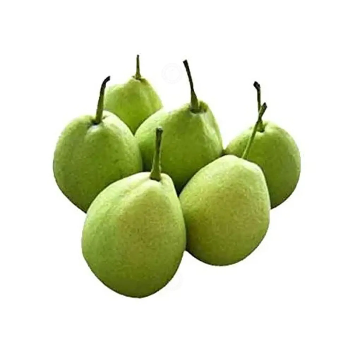 Pear Indian