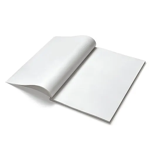 Classmate Unruled Long Size Notebook - 160 Pages 2