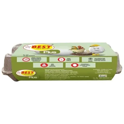 SKM Best Plus Eggs 7