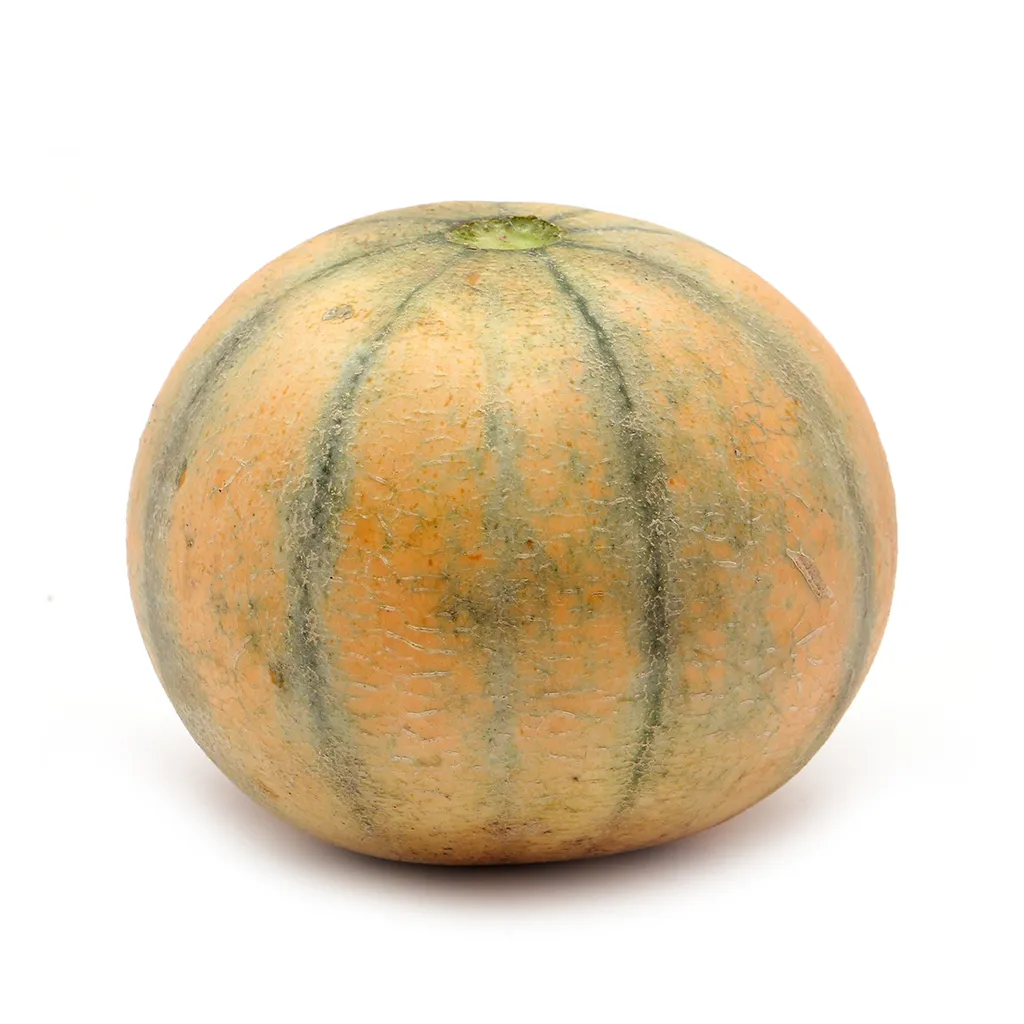 Muskmelon