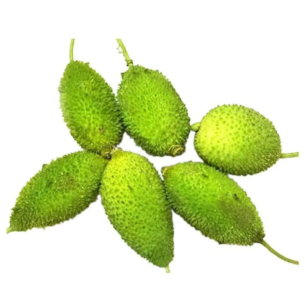 Bitter Gourd (Bengal)